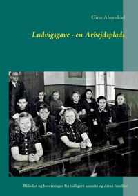 Ludvigsgave - en Arbejdsplads