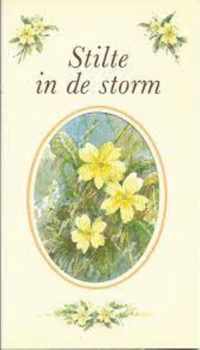 Stilte in de storm wdn