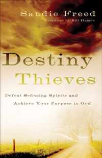 Destiny Thieves