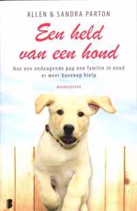 Een held van een hond