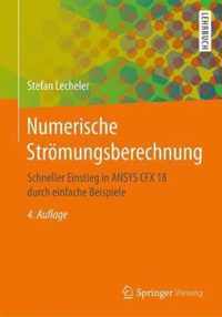 Numerische Stroemungsberechnung