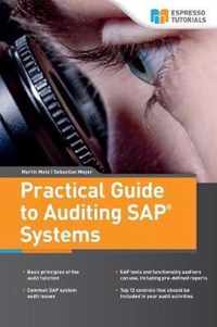 Practical Guide to Auditing SAP Systems