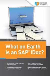 What on Earth is an SAP IDoc?