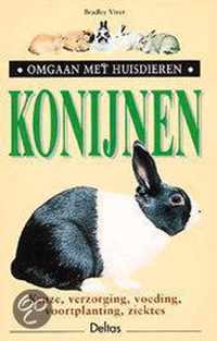 Konijnen Omgaan Met Huisdieren