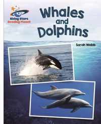 Reading Planet - Whales and Dolphins - White