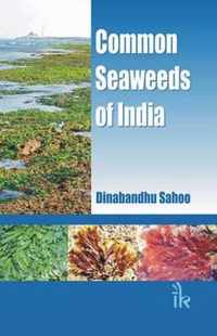 Common Seaweeds of India