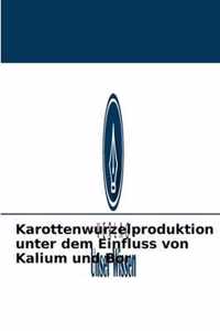 Karottenwurzelproduktion unter dem Einfluss von Kalium und Bor