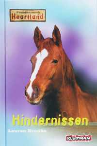 Paardenranch Heartland. Hindernissen