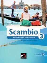 Scambio B. Grammatisches Beiheft 3