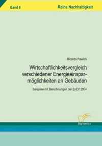 Wirtschaftlichkeitsvergleich verschiedener Energieeinsparmoeglichkeiten an Gebauden