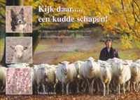 'Kijk Daar... Een Kudde Schapen!'