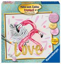 Schilderen Op Nummer - Love