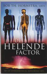 De helende factor - B.Th. Hornstra