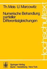 Numerische Behandlung Partieller Differentialgleichungen