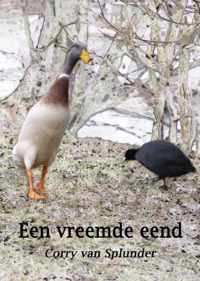 Een vreemde eend