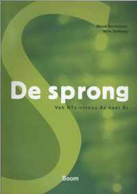 De sprong - Maud Beersmans, Wim Tersteeg - Paperback (9789461052872)