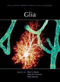 Glia