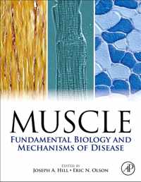 Muscle 2-Volume Set