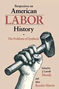 Perspectives On Amer Labor History - The Problems Of Synthesis