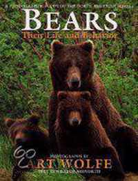 Bears