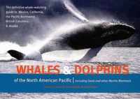 Whales & Dolphins of the North American Pacific