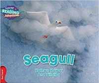 Seagull Red Band