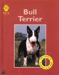 Bull Terrier