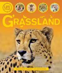 Grassland