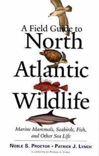 A Field Guide To North Atlantic Wildlife