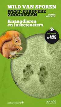 Knaagdieren en insecteneters