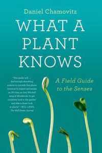 What a Plant Knows