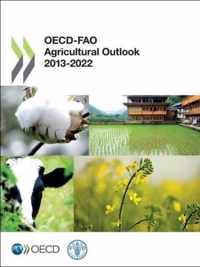 Oecd-Fao Agricultural Outlook 2013-2022