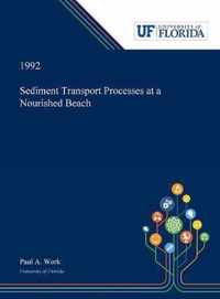 Sediment Transport Processes at a Nourished Beach