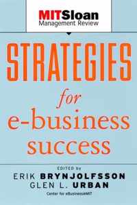 Strategies for E-Business Success