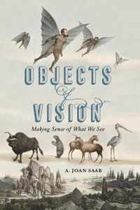Objects of Vision