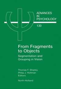 From Fragments to Objects