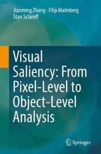 Visual Saliency