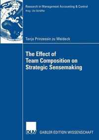 The Effect of Team Composition on Strategic Sensemaking