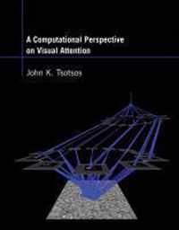 A Computational Perspective on Visual Attention