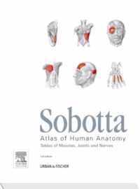 Sobotta Tables of Muscles, Joints and Nerves, English/Latin