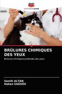 Brulures Chimiques Des Yeux