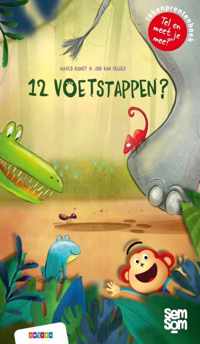 Semsom boeken  -   12 voetstappen?