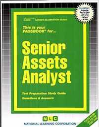 Senior Assets Analyst