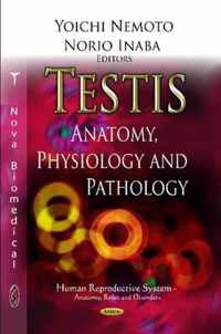 Testis