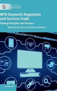 WTO Domestic Regulation and Services Trade