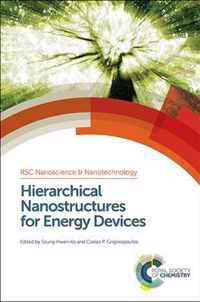 Hierarchical Nanostructures for Energy Devices