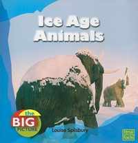 Ice Age Animals