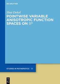 Pointwise Variable Anisotropic Function Spaces on  n