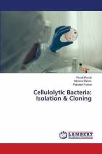 Cellulolytic Bacteria