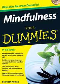 Voor Dummies - Mindfulness voor Dummies